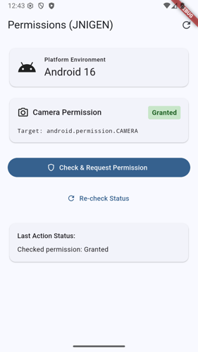 Android device displaying permission granted